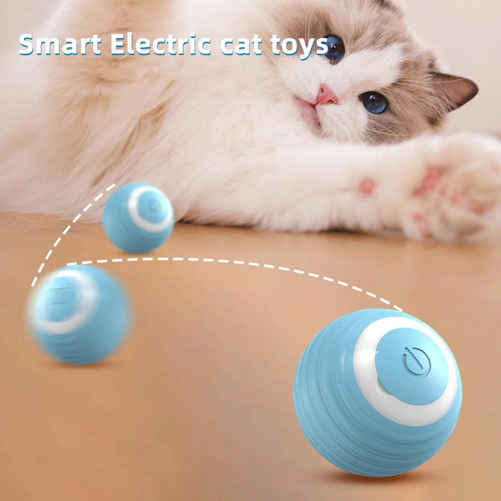 Bolinha inteligente - Cat Ball Toys