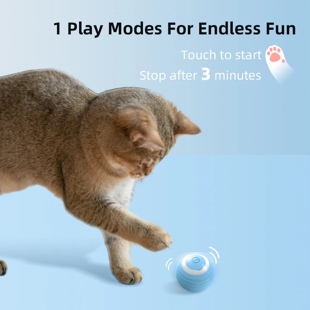 Bolinha inteligente - Cat Ball Toys