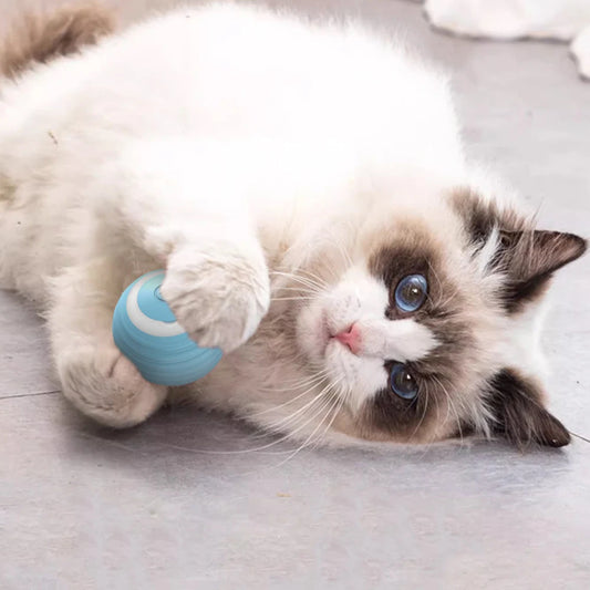 Bolinha inteligente - Cat Ball Toys