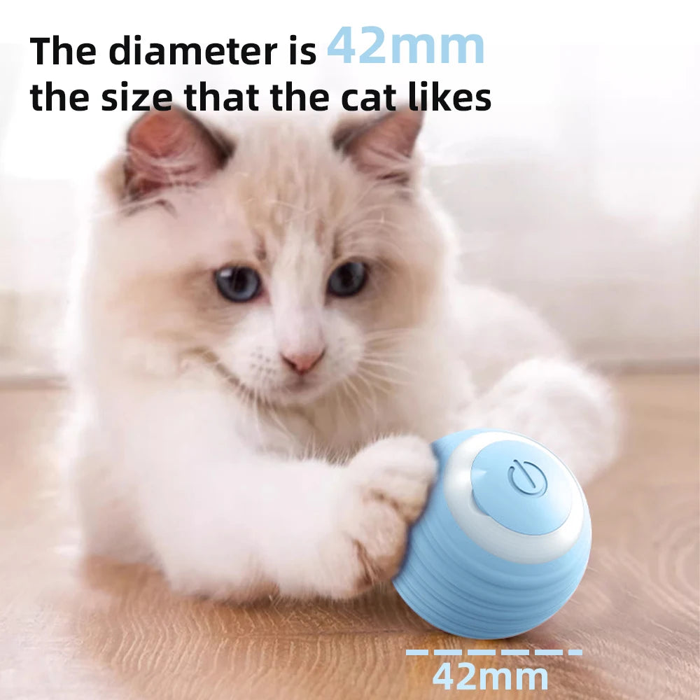Bolinha inteligente - Cat Ball Toys